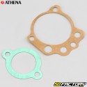 Selos do motor Yamaha YFM Raptor 660 (2001 - 2004) Athena