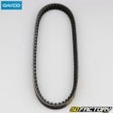 Cinghia Piaggio Free Kevlar Dayco da 100x18.1 mm