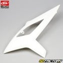 Origem das carenagens do kit Beta RR Enduro Sport,  Racing 50 (da 2021) branco