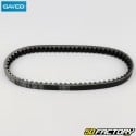 Belt Sym DD 50 (2003 - 2007) 17.7x666 mm Dayco