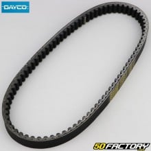 Keilriemen Aprilia Atlantic,  Gilera Runner 200...22x828 mm Dayco-Kevlar