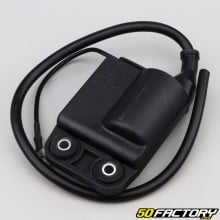 CDI box Aprilia,  Derbi,  Gilera, Italjet, Piaggio,  Vespa... 50