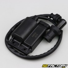 CDI box Piaggio Liberty,  Zip,  Fly 50 4T