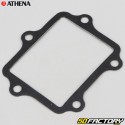 Selos do motor Yamaha YZ 250 (desde 1999) Athena