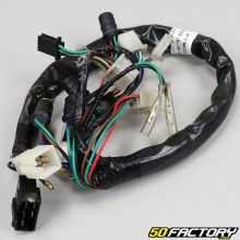 Dashboard wiring  Kymco Agility 125 V1