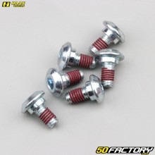 Front or rear brake disc screw 6x10 mm Kawasaki KX 85 (since 2001) Haan Wheels (batch of 6)