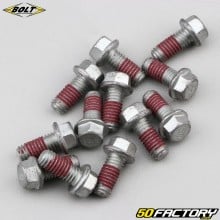 Tornillos de disco de freno delantero y trasero de 6x13 mm KTM SX, EXC 125, 300 ... Perno (juego de 12)