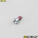 Vite disco freno anteriore o posteriore 6x11 mm Yamaha YZ65, Suzuki RM 85, Kawasaki KX 125... Haan Wheels (lotto di 4)