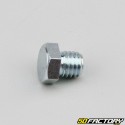 Ã˜8 mm drain plug Piaggio Zip,  Typhoon,  Gilera Stalker...