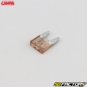 Braune 7.5A Mini-Flachsicherungen Lampa Smart Led (Satz von 6)