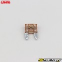 Brown 7.5A mini flat fuses Lampa Smart Led (set of 6)