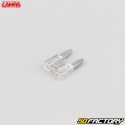 Weiße Mini-Flachsicherungen 25A Lampa Smart Led (Satz von 6)