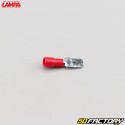 6.3 mm männliche Crimpanschlüsse Lampa rot (10er Pack)