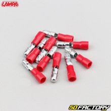 Terminales conectores de barril machos Ø4 mm crimpado Lampa rojos (paquete de 10)