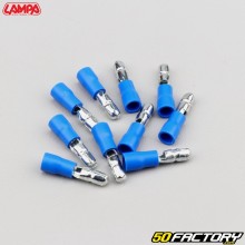 Terminais de barril macho de crimpagem azules Lampa Ø5 mm (pacote de 10)