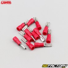 Cosses femelles 2.8 mm à sertir Lampa rouges (lot de 12)