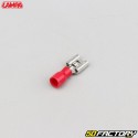 Terminales de crimpado macho, hembra de 6.3 mm Lampa rojo (paquete de 40)