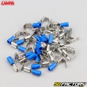 Male/female spade terminals Ã˜6.3 mm to be crimped Lampa blue (pack of 40)