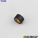 Variomatik-Gewichte 12g 20x12 mm Yamaha Xmax, Majesty 125 ... RMS