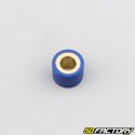 Rulli di variatore 25g 23x18 mm Kymco Dink,  Piaggio 9... blues