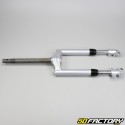 Inverted fork Ø27mm Ludix Snake,  Trend,  Blaster  et  Furious 50cc 2T 10 inches