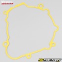 Guarnizioni del motore Beta RR 250, 300 (2013 - 2021) Xradicale