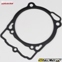 Engine gaskets KTM EXC-F 450 (2008 - 2011), EXC 450 (2009 - 2011)... Xradical