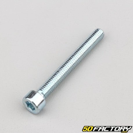 Tornillo cabeza 6x50 mm BTR V2 (por unidad)