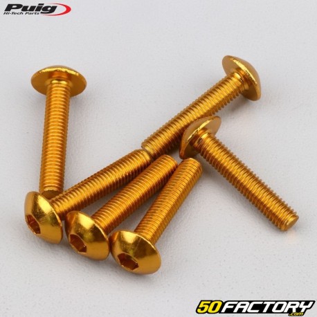 Tornillos BTR cabeza abombada Puig de 5x25 mm oro (juego de 6)