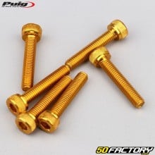 Tornillos cabeza BTR Puig dorados de 5x25 mm (juego de 6)