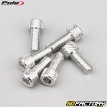 Schrauben 6x15 mm BTR-Kopf Puig grau (Satz 6 Stück)