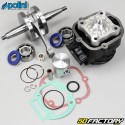 Motor-kit Derbi Euro 3, Euro 4 Polini Guss