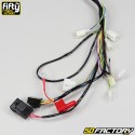 Chicote de fios elétricos Derbi  DRD Xtreme, Gilera SMT, RCR, Aprilia  SX... (XNUMX - XNUMX) Fifty