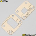 MBK 51 AV10 air Omega engine gaskets