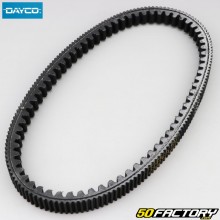 Belt Aprilia Atlantic,  Gilera Oregon 250... 22.6x835 mm Dayco kevlar