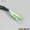 Luz trasera Yamaha YFM Raptor 250 (2008 - 2009)