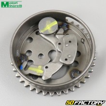 Descompressor Minarelli WR Yamaha MT Rieju maratona Beta... 125