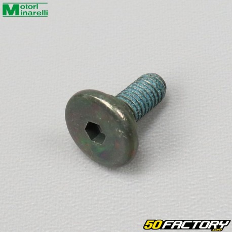 Minarelli gear selector shaft stop screw WR Yamaha MT Rieju Marathon, Beta... 125