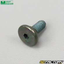 Parafuso limitador do eixo seletor de engrenagem Minarelli WR Yamaha MT Rieju maratona Beta... 125