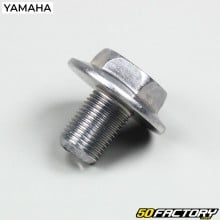 Steering column screw TZR  50  Yamaha and XPower Mbk
