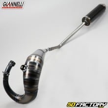 Exhaust pipe Peugeot 6 (since 2004), MH Furia Max Giannelli carbone