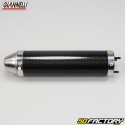 Auspuff Peugeot  XNUMX (seit XNUMX), MH Furia Max Giannelli  Carbon