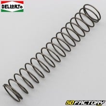 Carburetor valve spring Dellorto PHBH