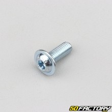 6x16 mm screw BTR domed head base (per unit)