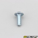 Tornillo de 6x16 mm BTR base cabeza abombada (por unidad)