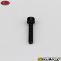 4x20 mm parafuso BTR cabeça Evotech preto (por unidade)