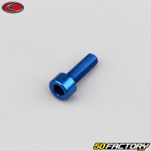 5x15 mm screw head BTR Evotech blue (per unit)