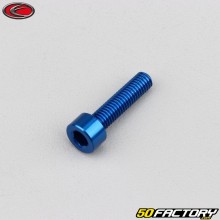 Vite 5x20 mm testa BTR Evotech blu (per unità)