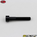 Tornillo de 5x30 mm cabeza BTR Evotech negro (por unidad)