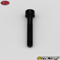 Tornillo de 5x30 mm cabeza BTR Evotech negro (por unidad)